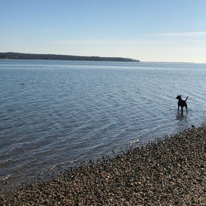 Meet your Posher, Lucy